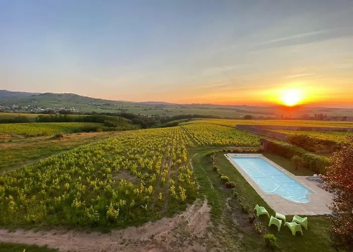 Au Coeur Des Vignes Moulin A Vent