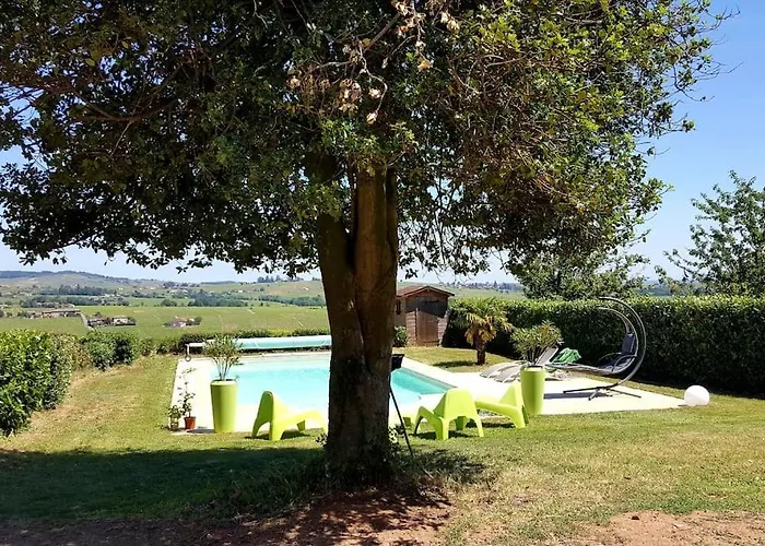 Au Coeur Des Vignes Moulin A Vent